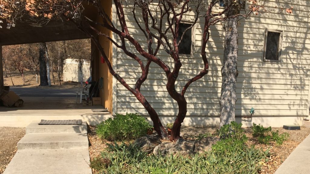 What is wildfire mitigation and the Home Ignition Zone (HIZ) fire assessment. Wildfire